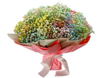 Индия